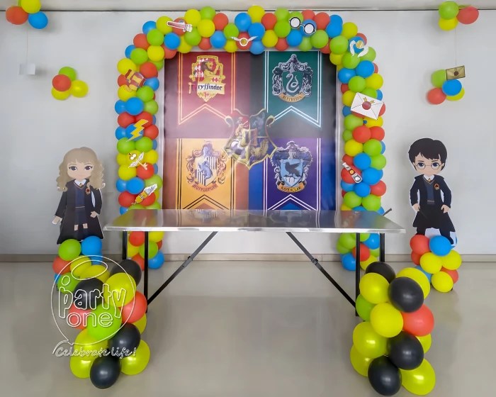 Harry potter birthday decoration