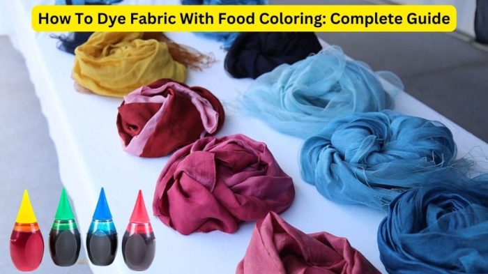 Can u dye fabric with food coloring