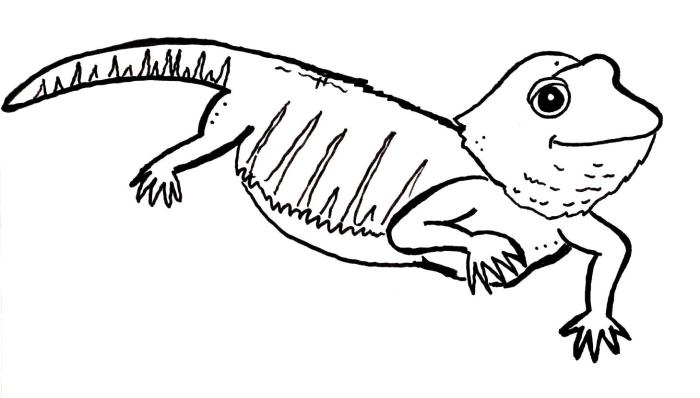 Lizard coloring pages