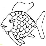 Coloring fish pages