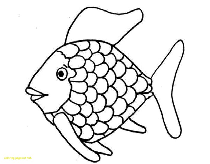 Coloring fish pages