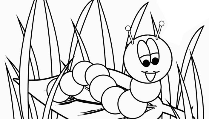 Caterpillar coloring page