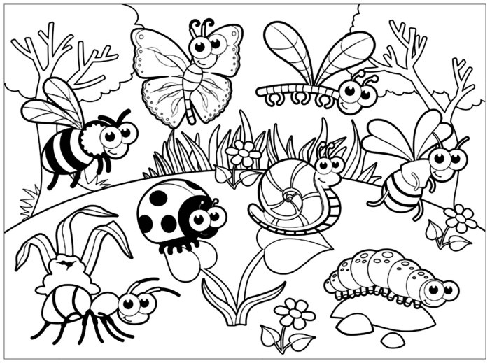 Bugs and insects coloring pages