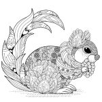 Squirrel coloring page