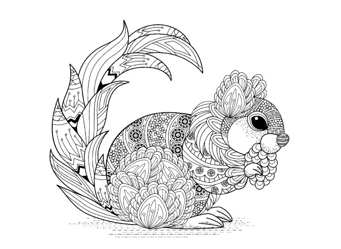 Squirrel coloring page