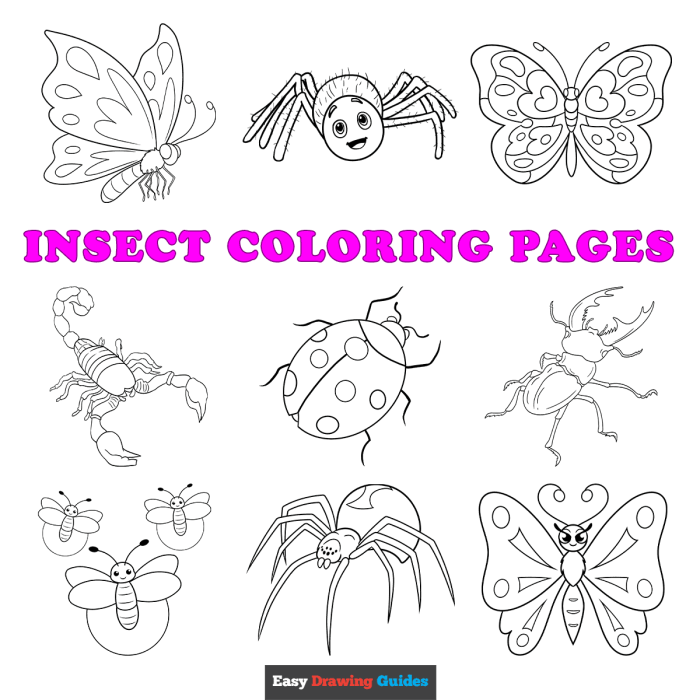 Bugs and insects coloring pages