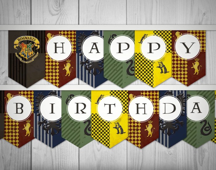 Harry potter birthday decoration