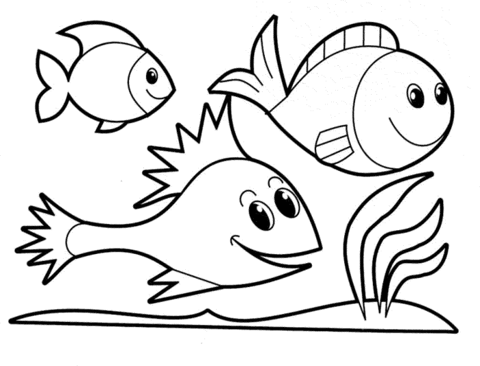 Coloring fish pages