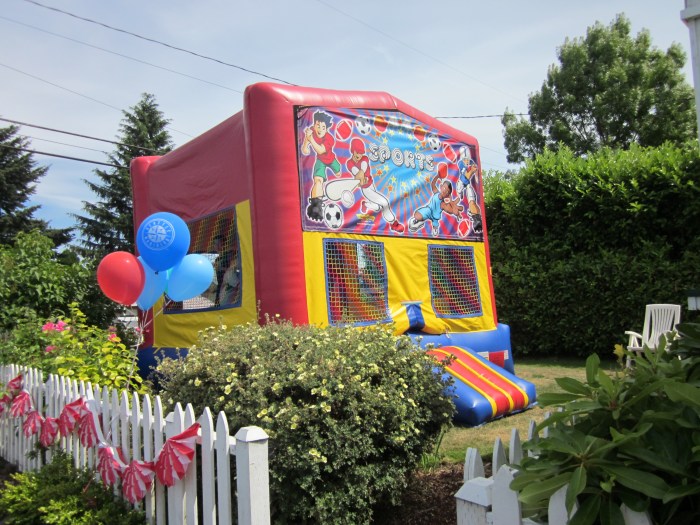 Birthday party decoration rentals